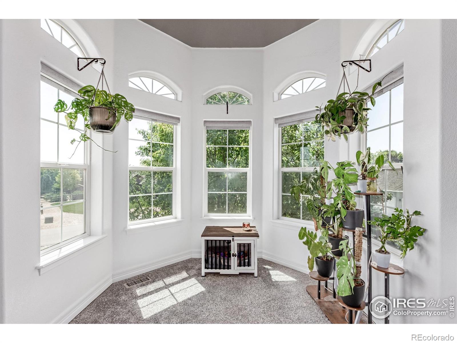 MLS Image #13 for 1451  red fox circle,severance, Colorado