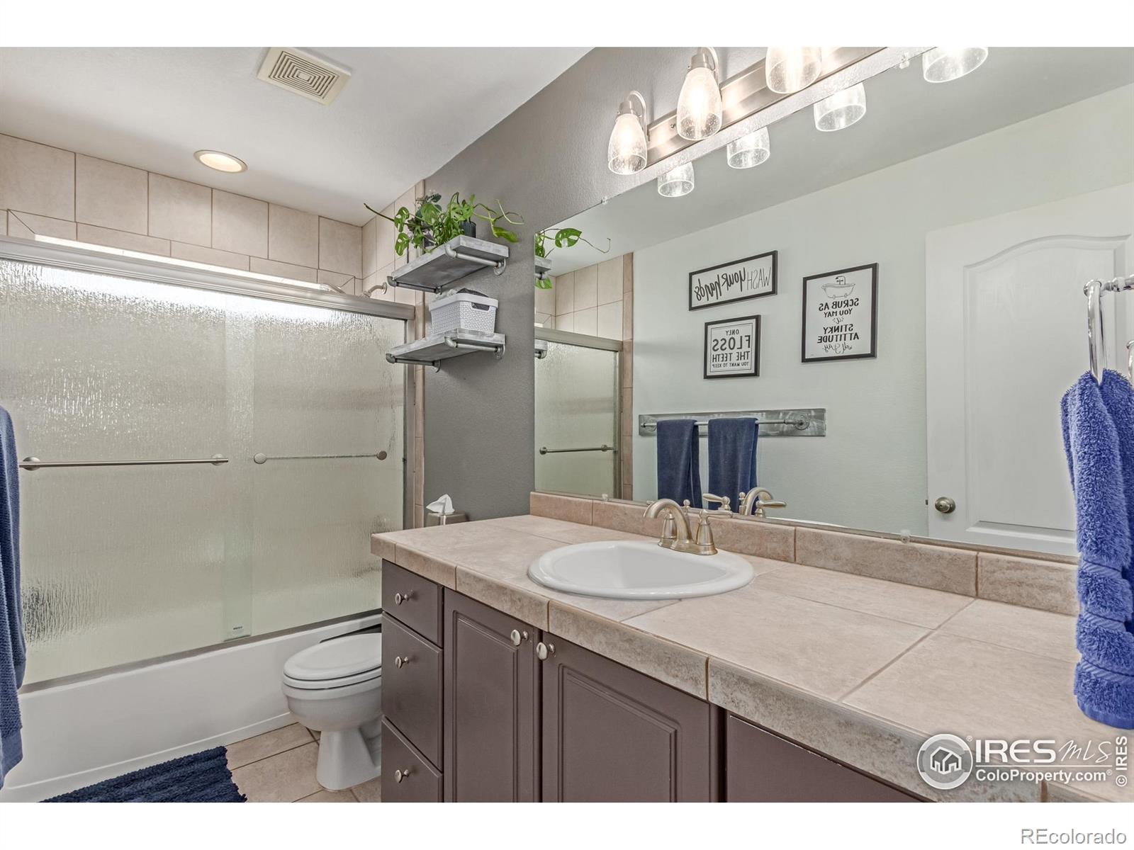 MLS Image #14 for 1451  red fox circle,severance, Colorado
