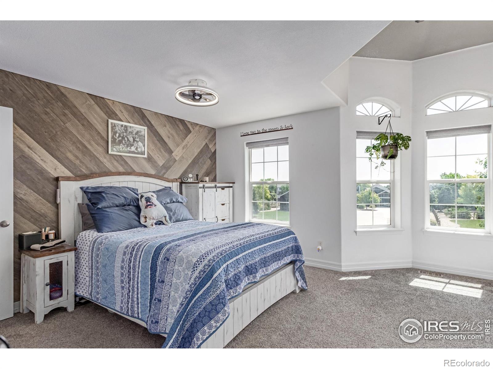MLS Image #18 for 1451  red fox circle,severance, Colorado
