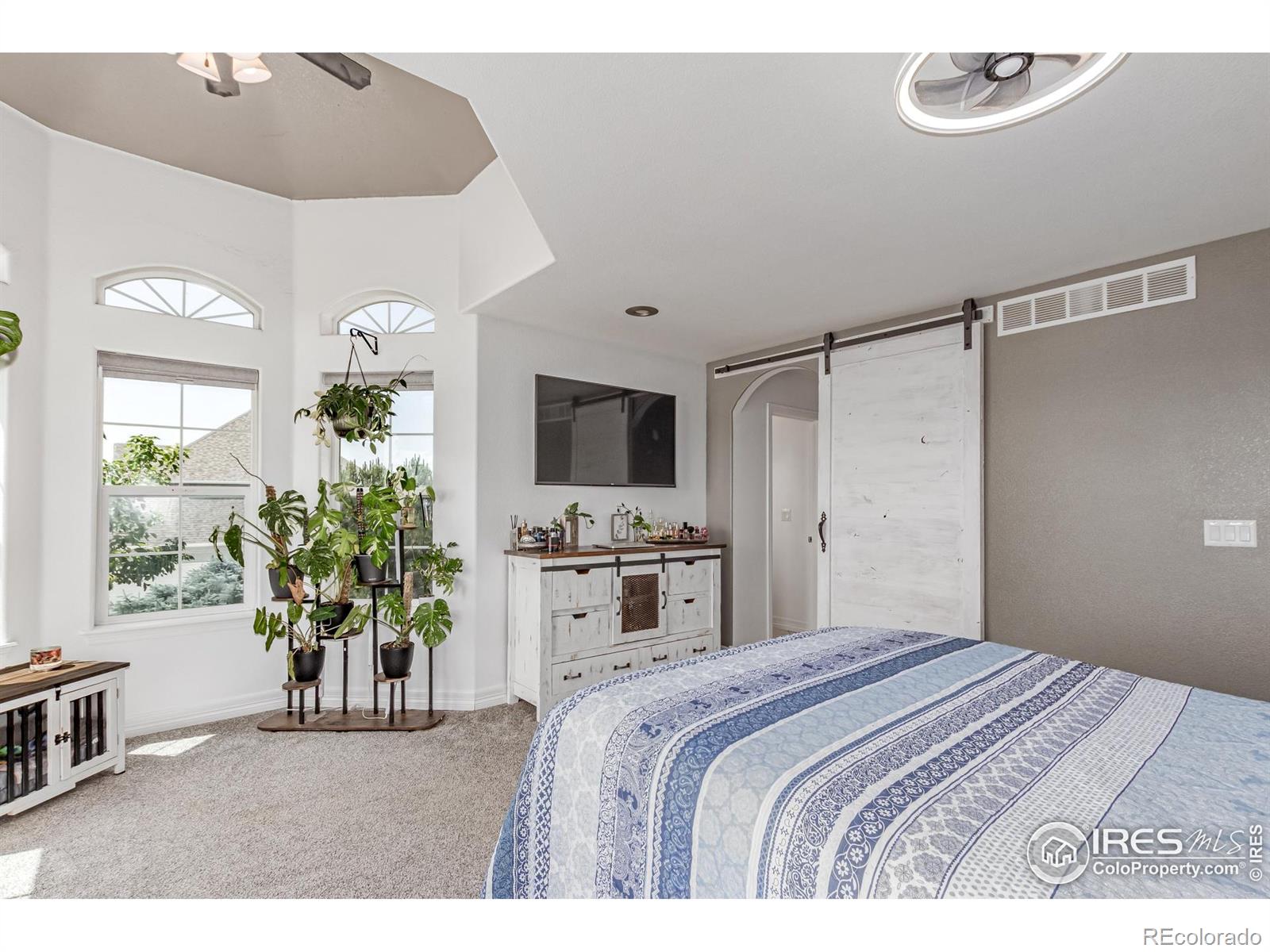 MLS Image #20 for 1451  red fox circle,severance, Colorado