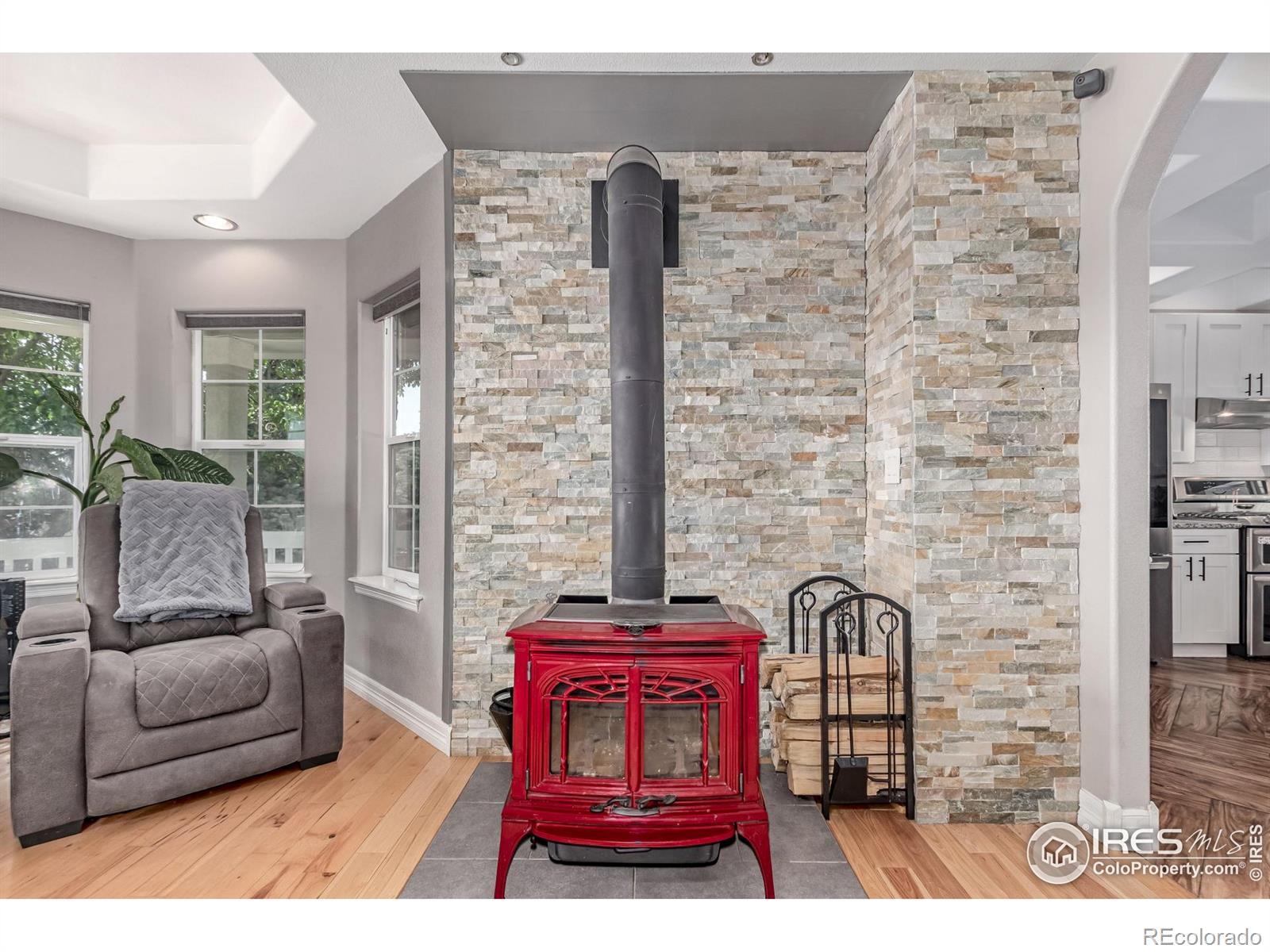 MLS Image #6 for 1451  red fox circle,severance, Colorado