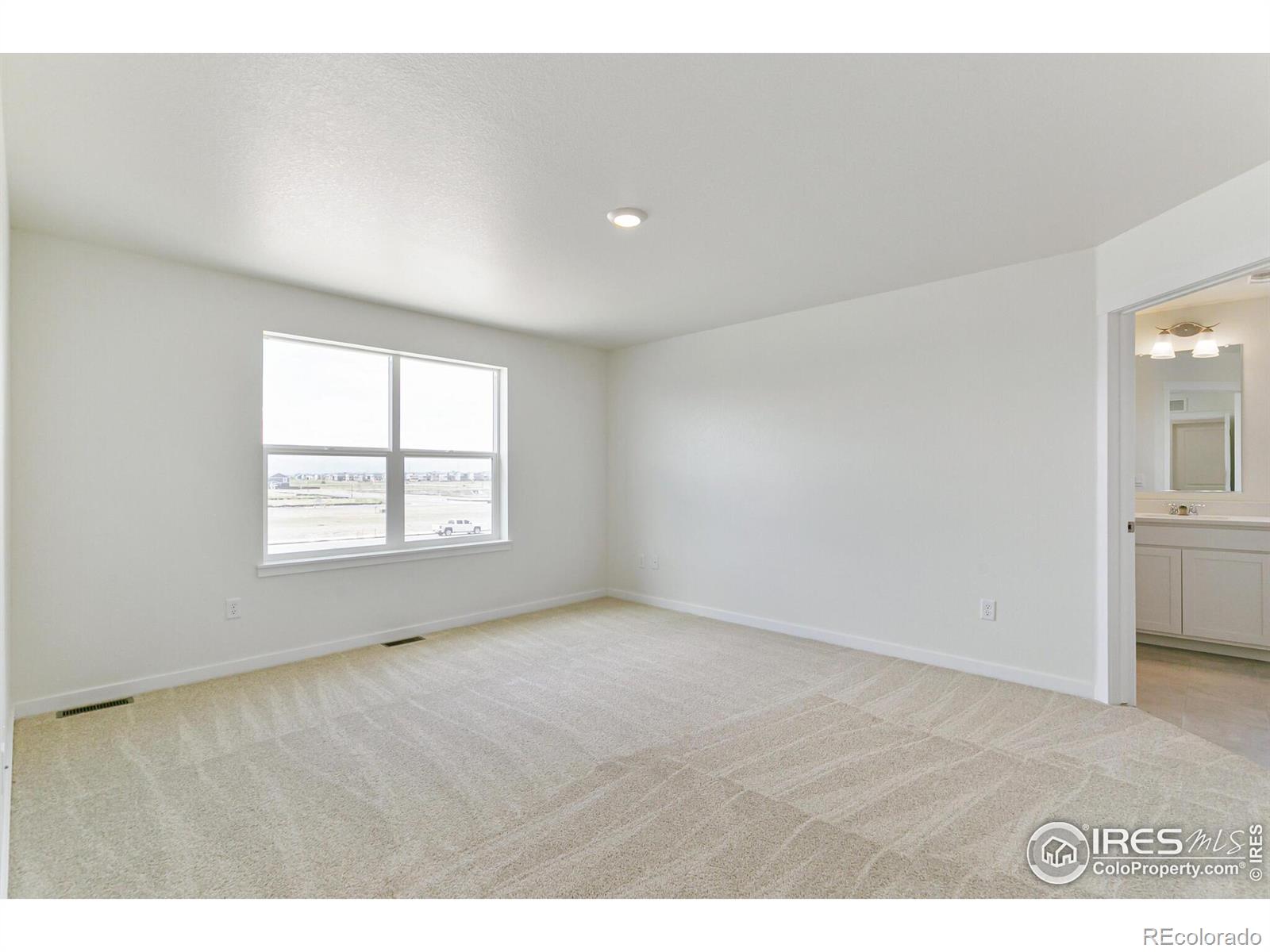 MLS Image #18 for 955  tallus street,lochbuie, Colorado
