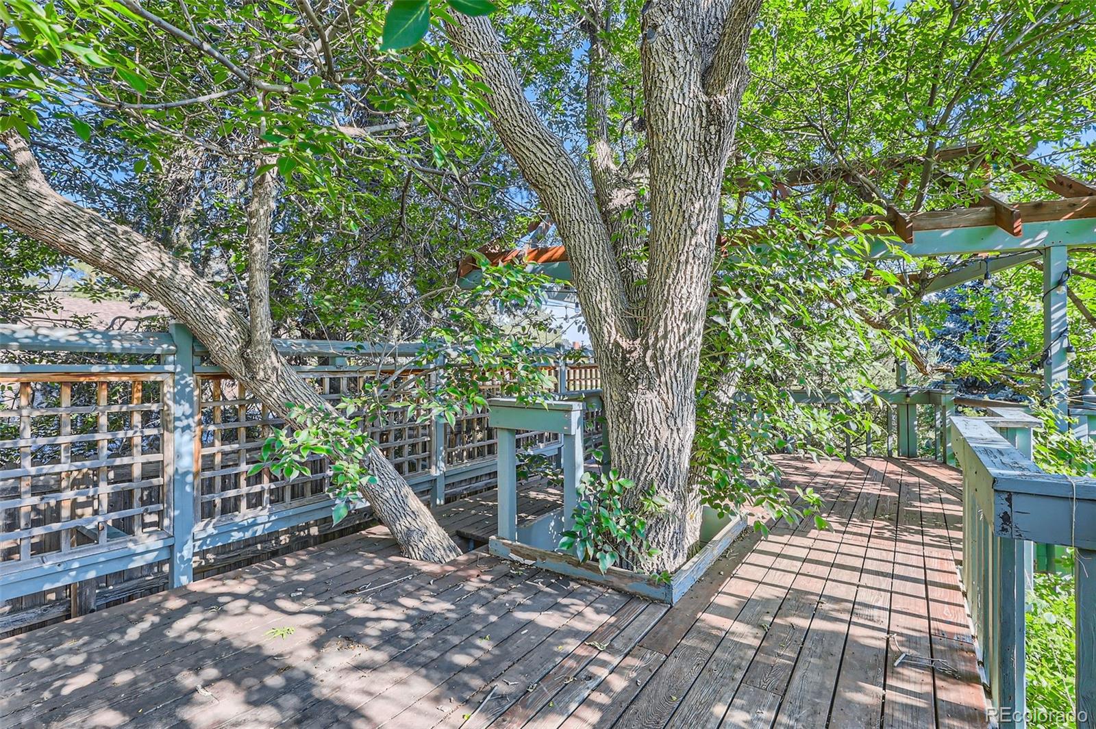 MLS Image #47 for 5480 s holly street,greenwood village, Colorado