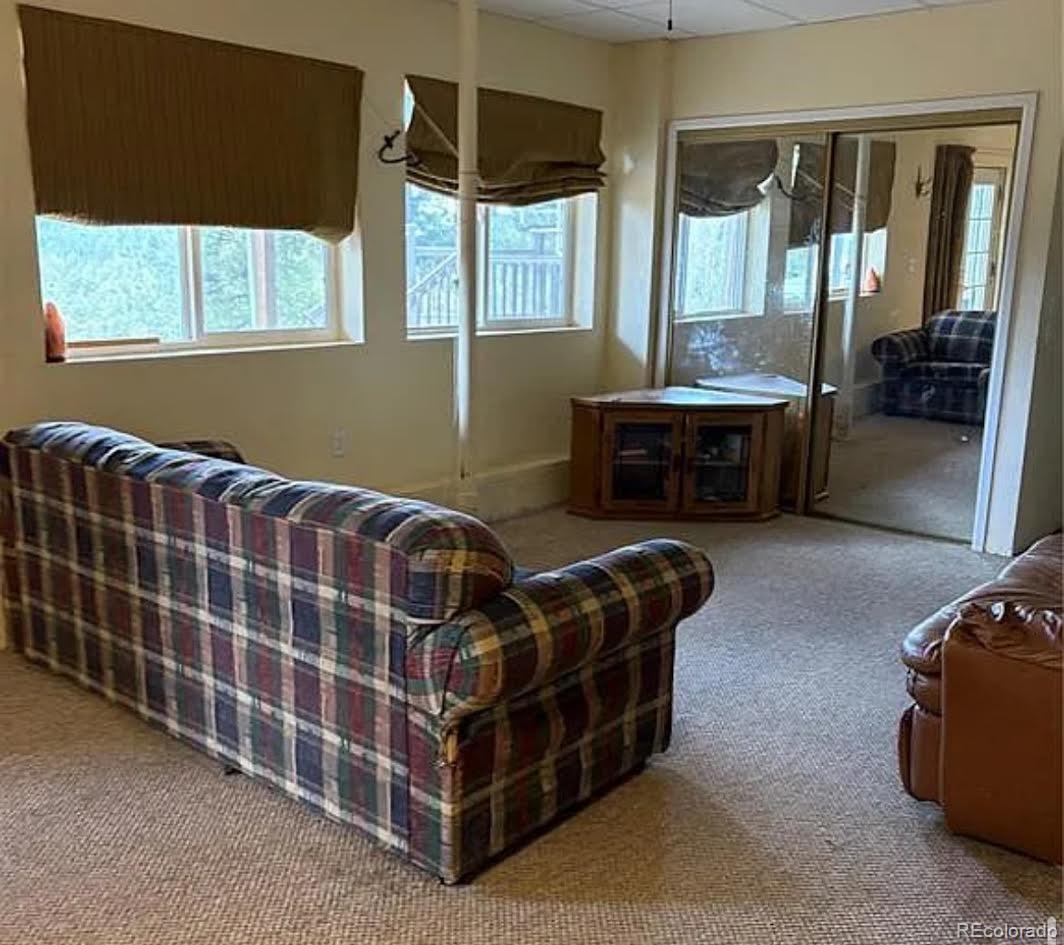 MLS Image #11 for 3647  pathfinder road,florissant, Colorado