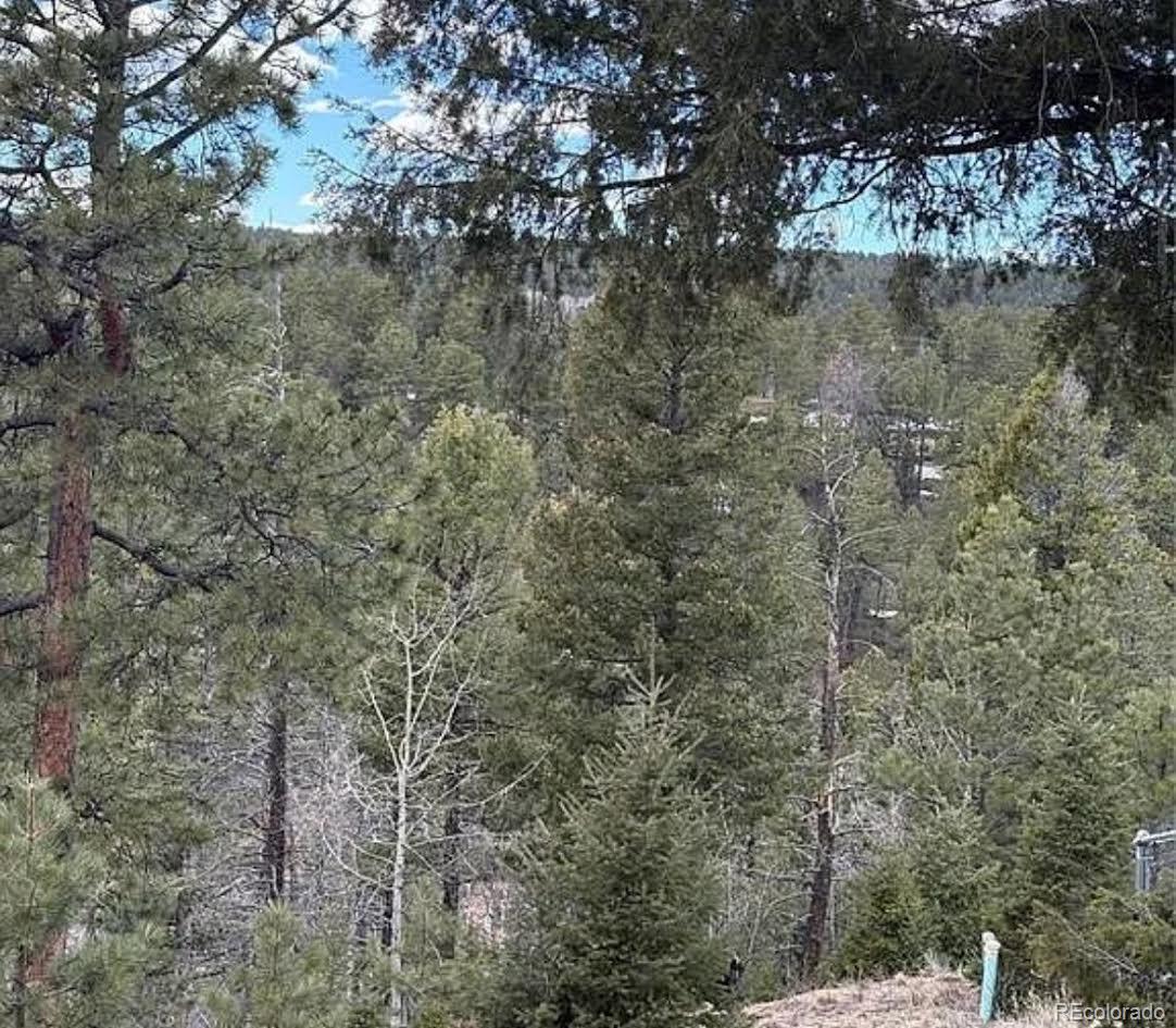 MLS Image #13 for 3647  pathfinder road,florissant, Colorado