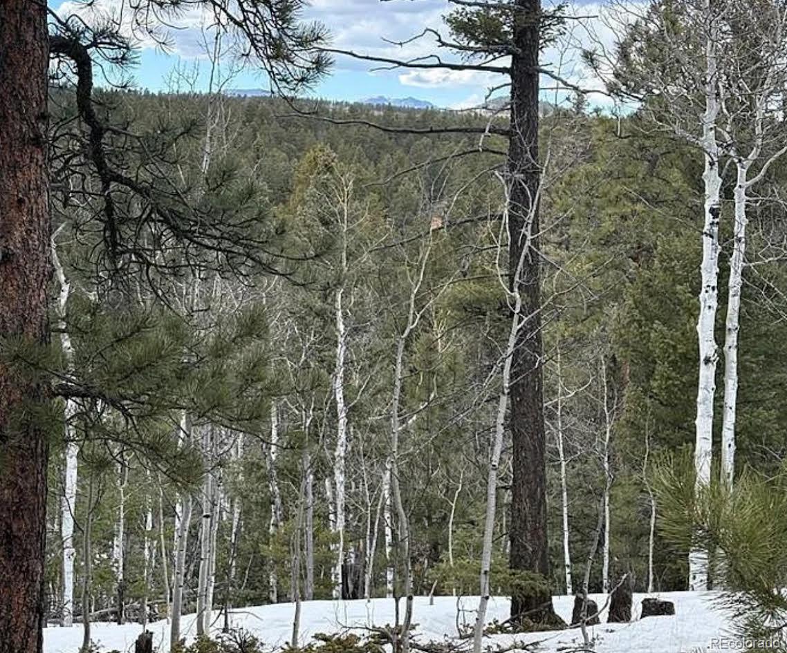 MLS Image #14 for 3647  pathfinder road,florissant, Colorado