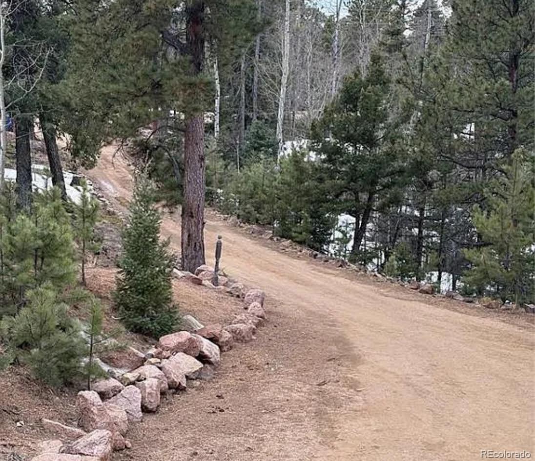 MLS Image #15 for 3647  pathfinder road,florissant, Colorado