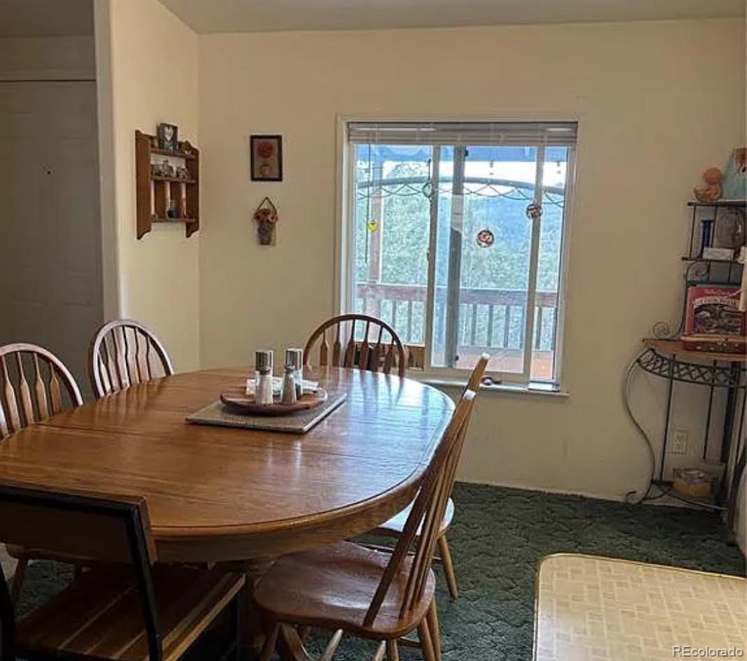 MLS Image #7 for 3647  pathfinder road,florissant, Colorado