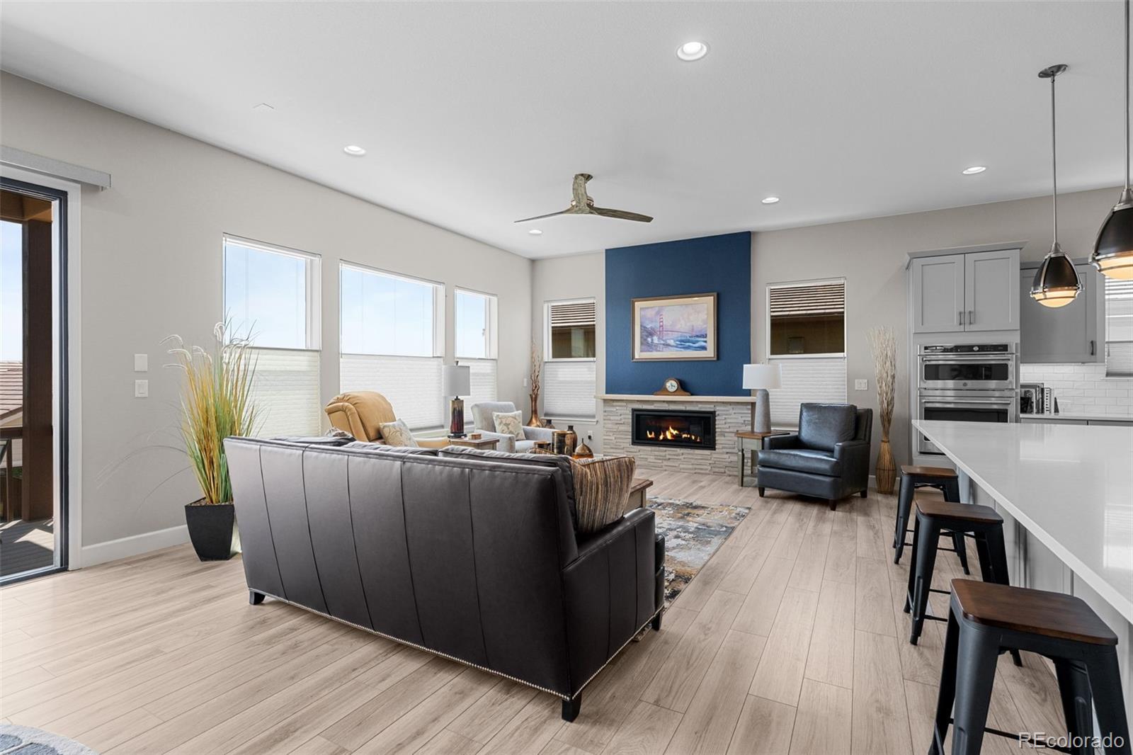 MLS Image #16 for 11136  sweet cicely drive,parker, Colorado