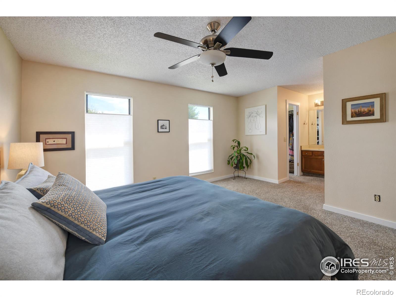 MLS Image #11 for 137 s polk avenue,louisville, Colorado