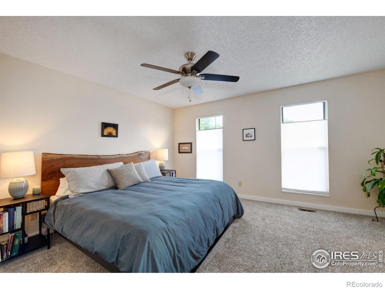 MLS Image #9 for 137 s polk avenue,louisville, Colorado