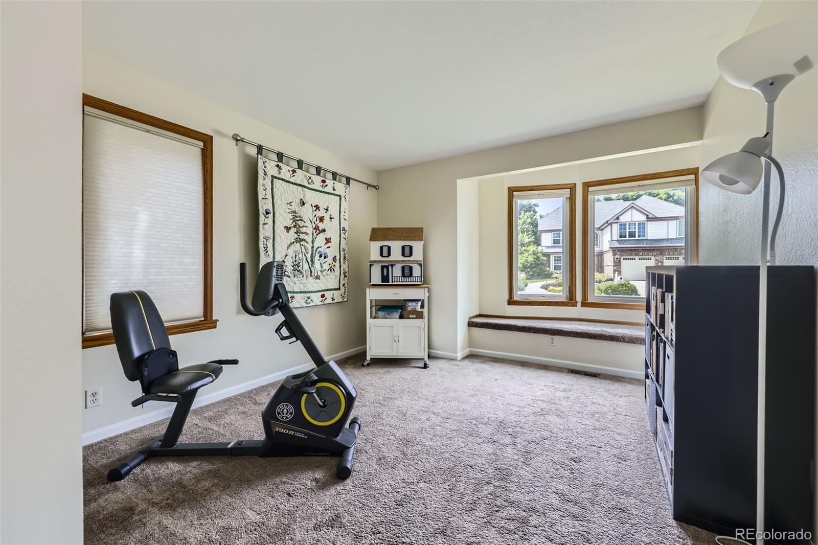 MLS Image #18 for 3743 w 103rd drive,westminster, Colorado