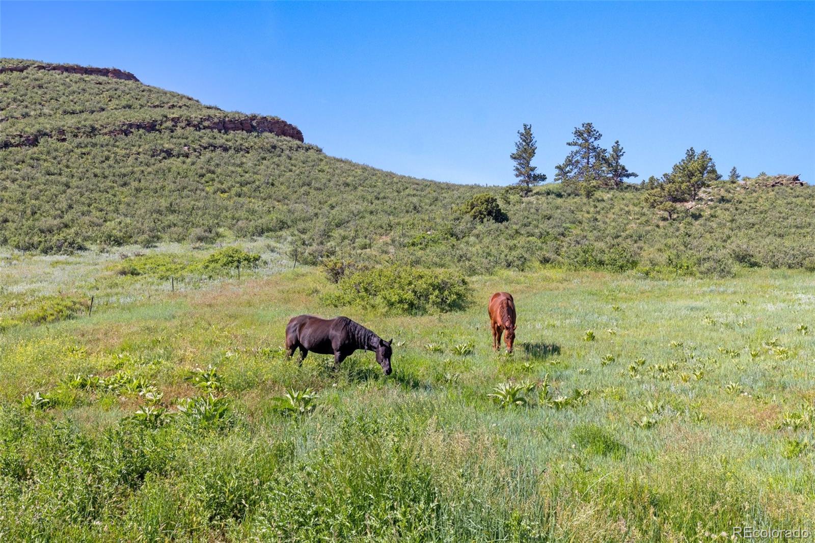 MLS Image #39 for 400  rugged rock road,loveland, Colorado