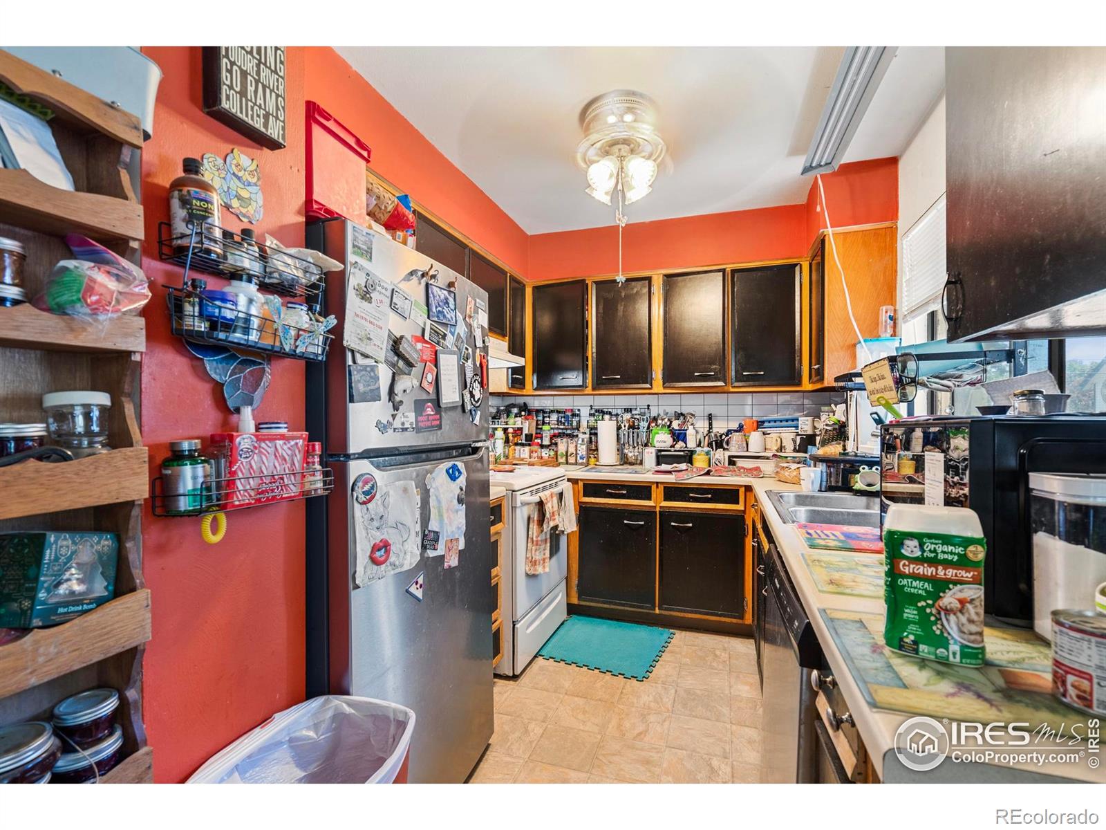 MLS Image #10 for 1005  shortleaf court,loveland, Colorado