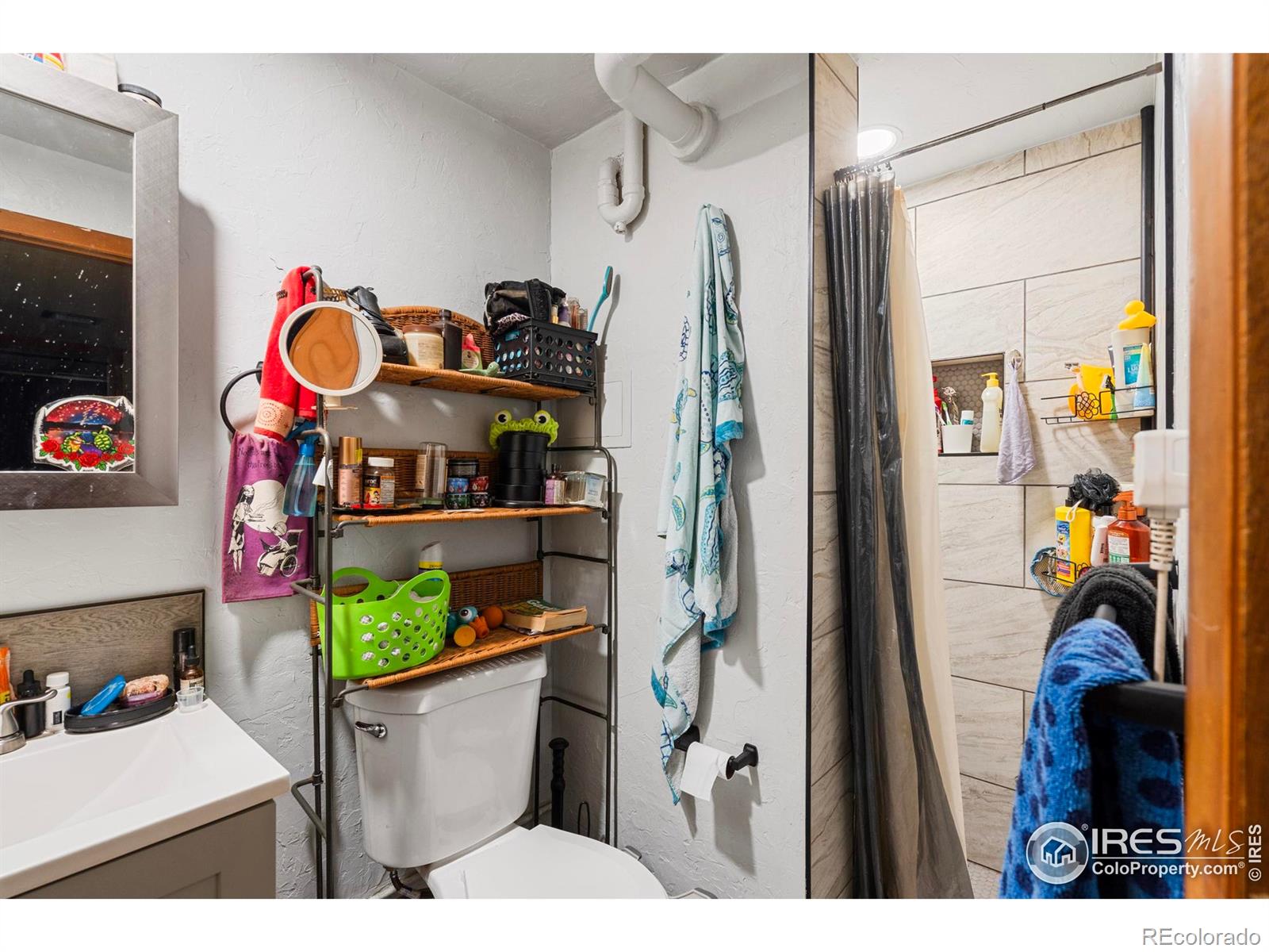 MLS Image #21 for 1005  shortleaf court,loveland, Colorado