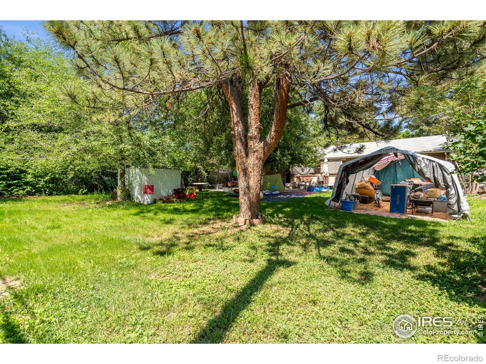 MLS Image #26 for 1005  shortleaf court,loveland, Colorado