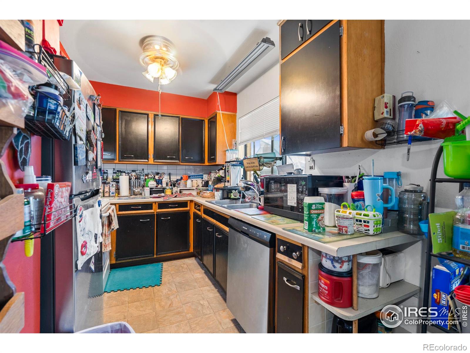 MLS Image #9 for 1005  shortleaf court,loveland, Colorado