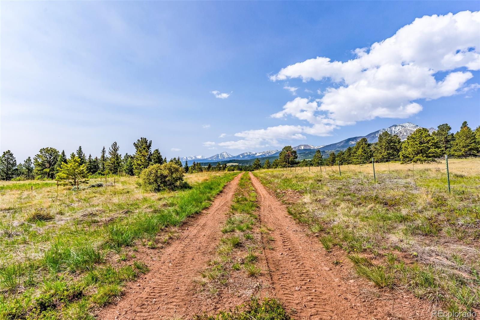 MLS Image #24 for 246  county road 179 ,westcliffe, Colorado