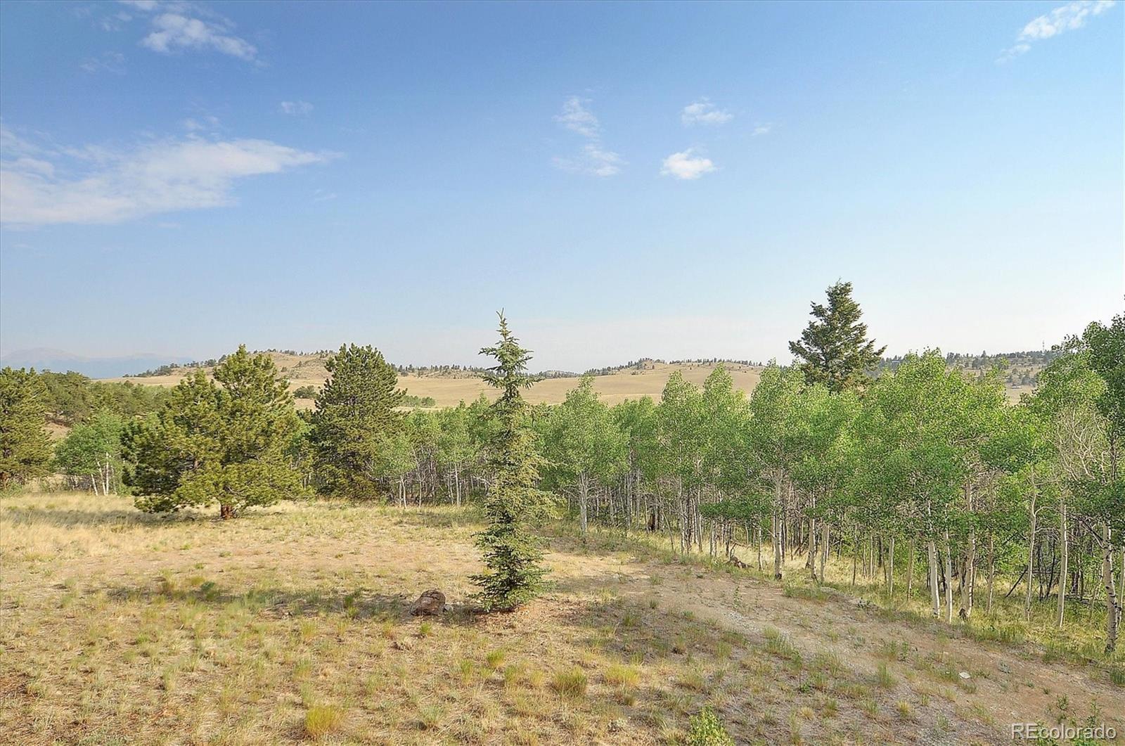 MLS Image #14 for 5543  ranch road,hartsel, Colorado