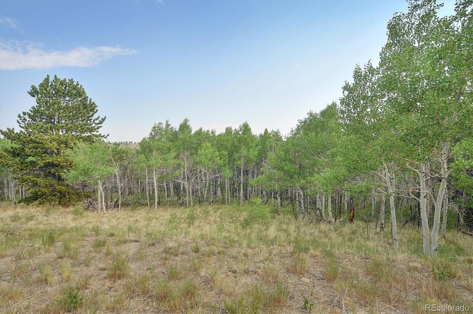 MLS Image #28 for 5543  ranch road,hartsel, Colorado
