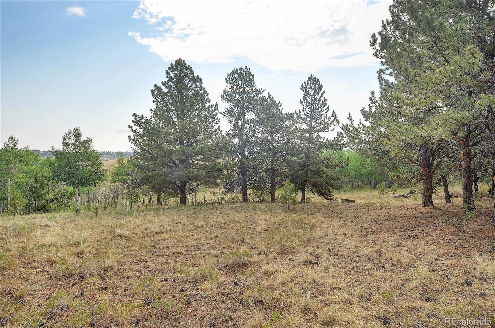 MLS Image #29 for 5543  ranch road,hartsel, Colorado