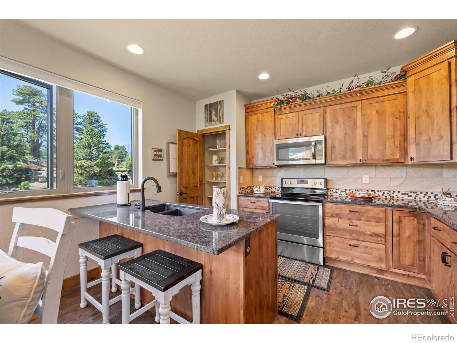 MLS Image #12 for 1137  fish creek road,estes park, Colorado