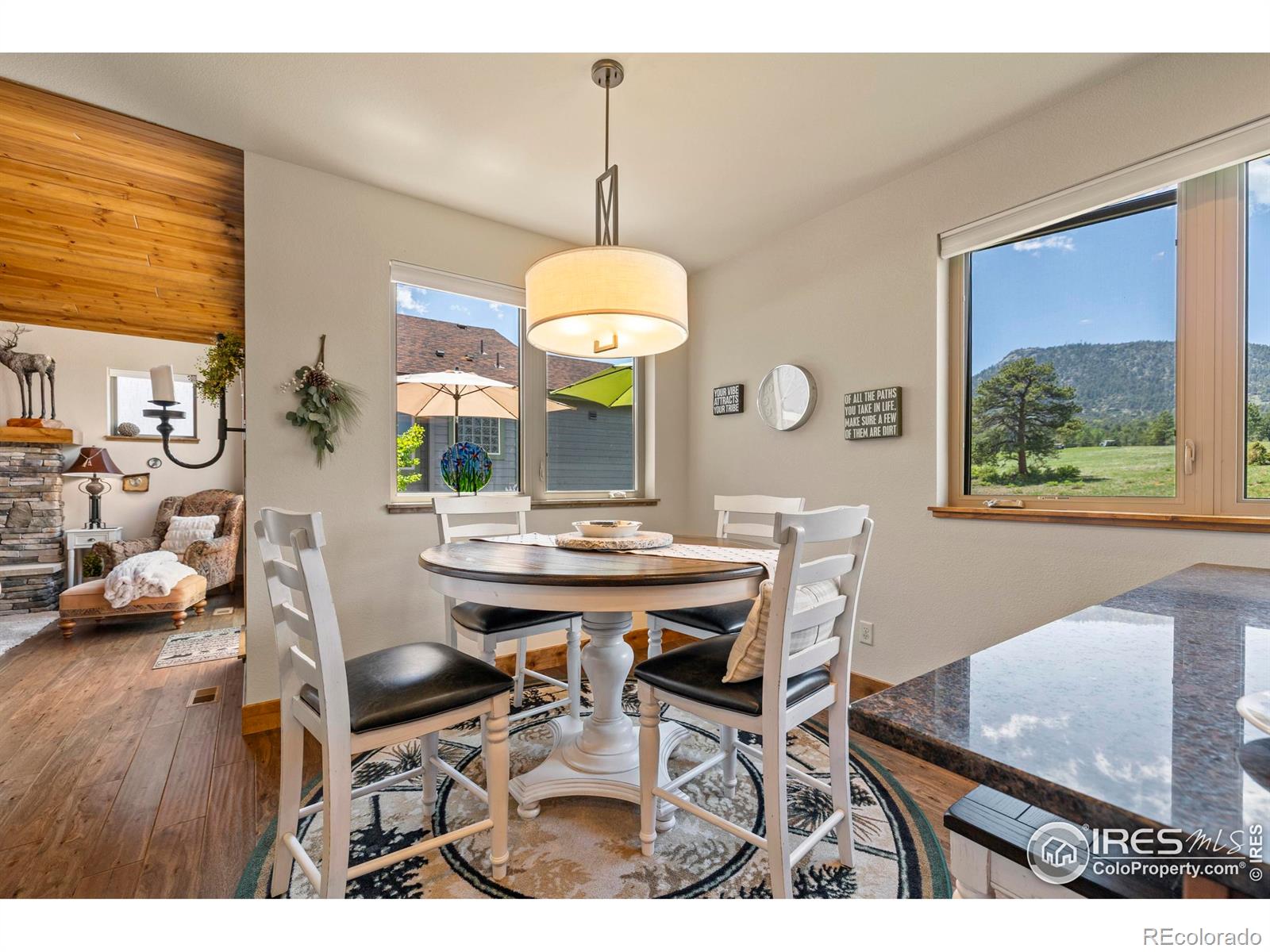 MLS Image #14 for 1137  fish creek road,estes park, Colorado