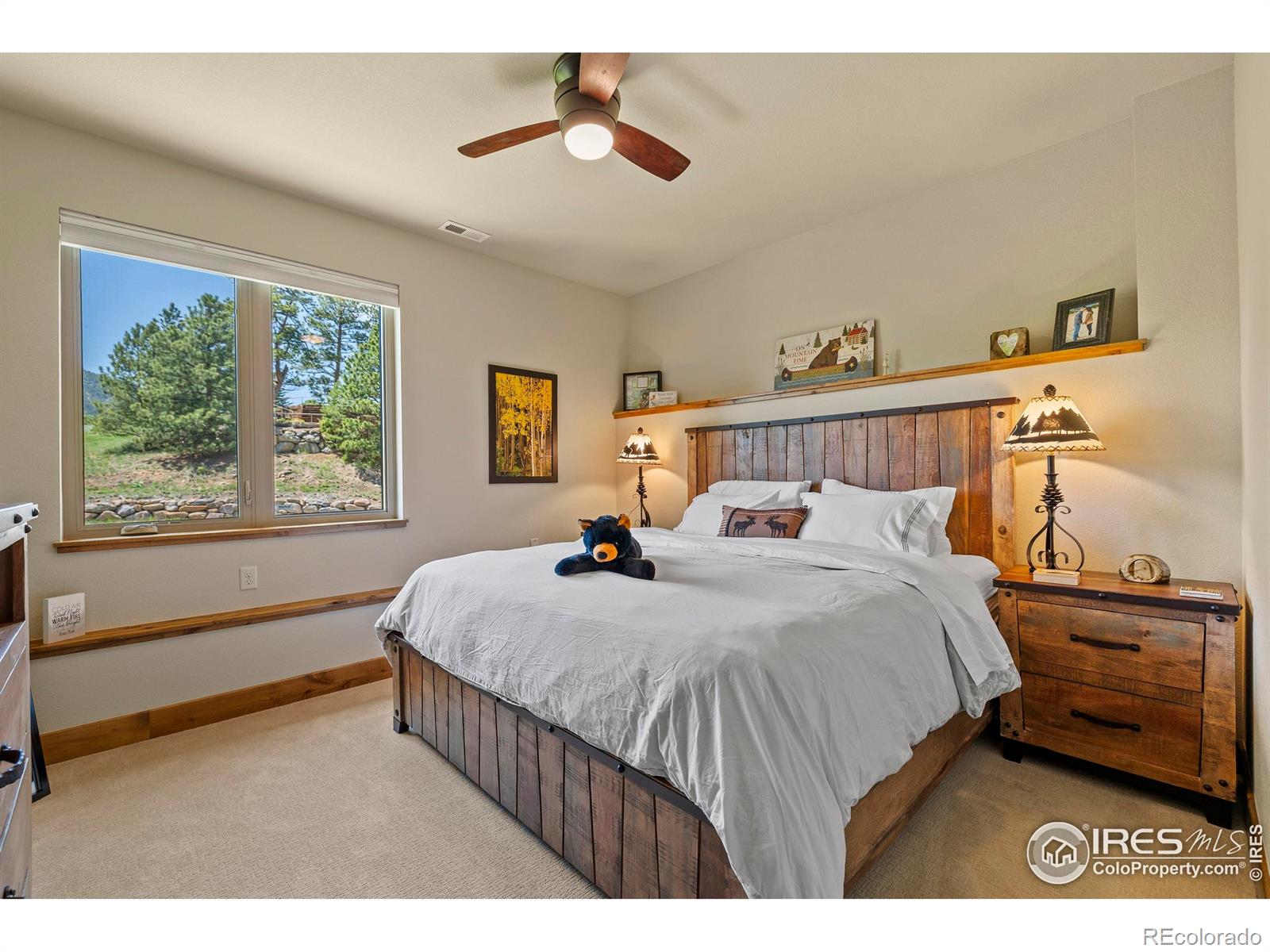 MLS Image #23 for 1137  fish creek road,estes park, Colorado
