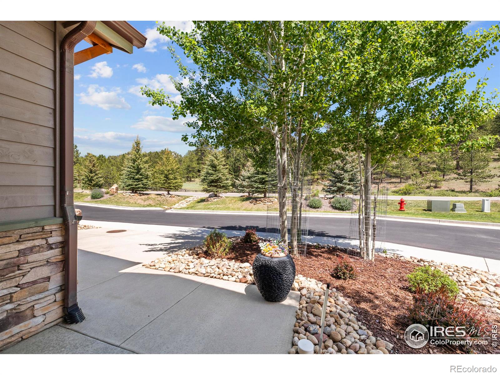 MLS Image #4 for 1137  fish creek road,estes park, Colorado