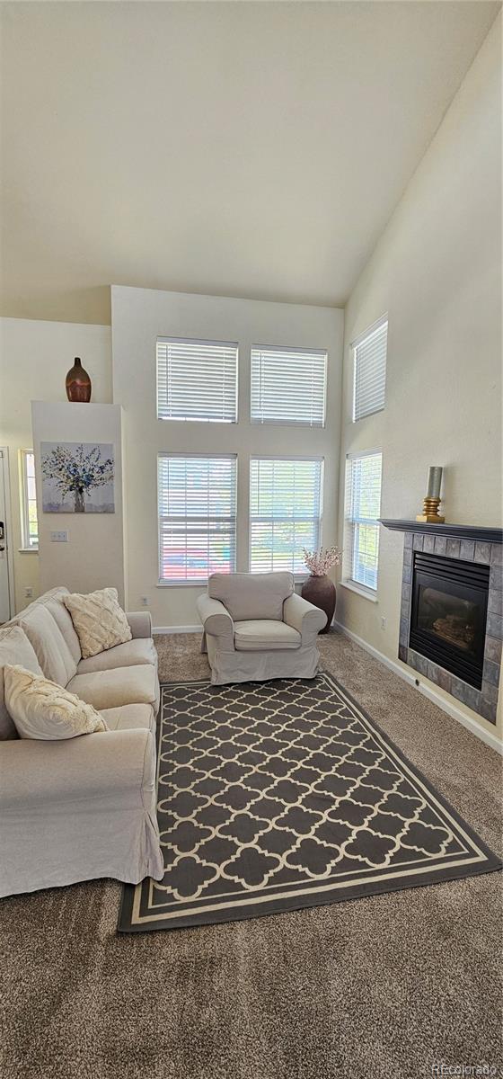 MLS Image #8 for 12388  jasmine street,brighton, Colorado