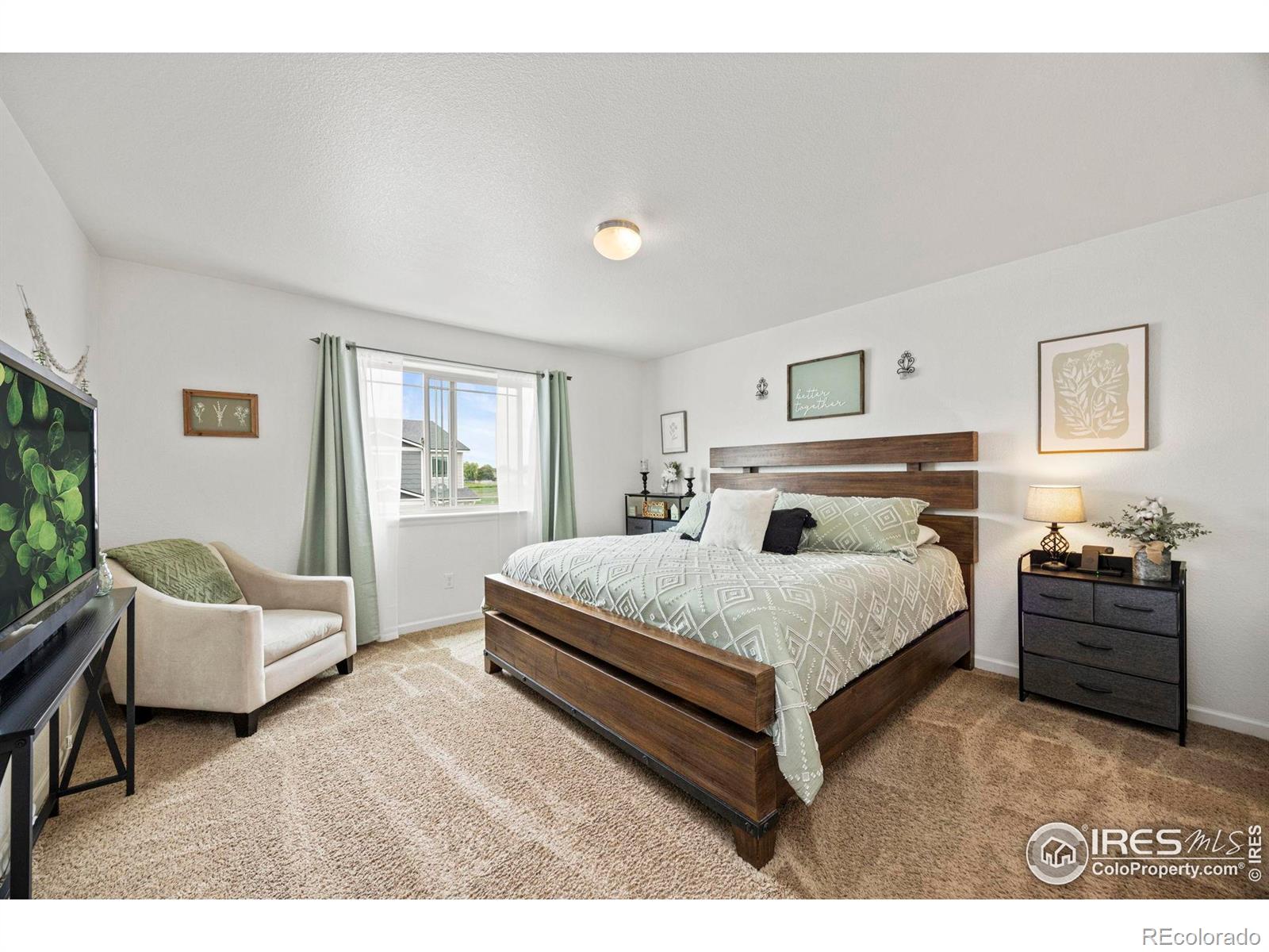 MLS Image #17 for 3145  alybar drive,wellington, Colorado
