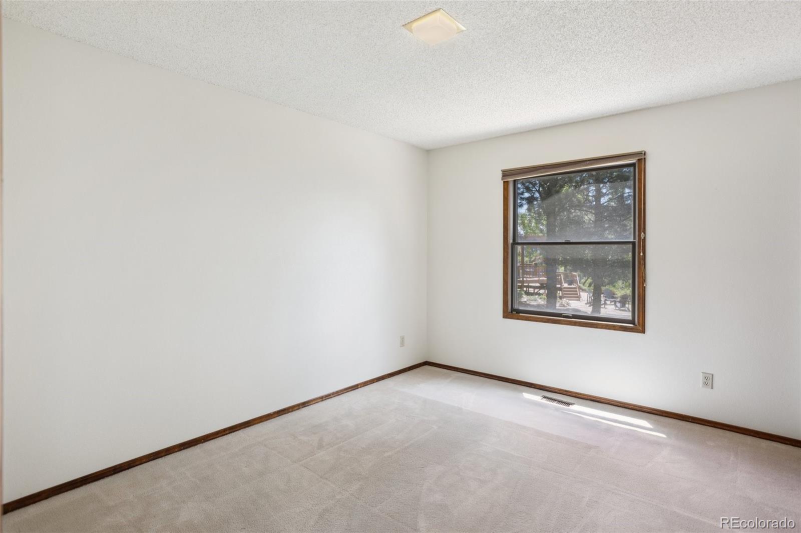 MLS Image #28 for 315  palm springs drive,colorado springs, Colorado