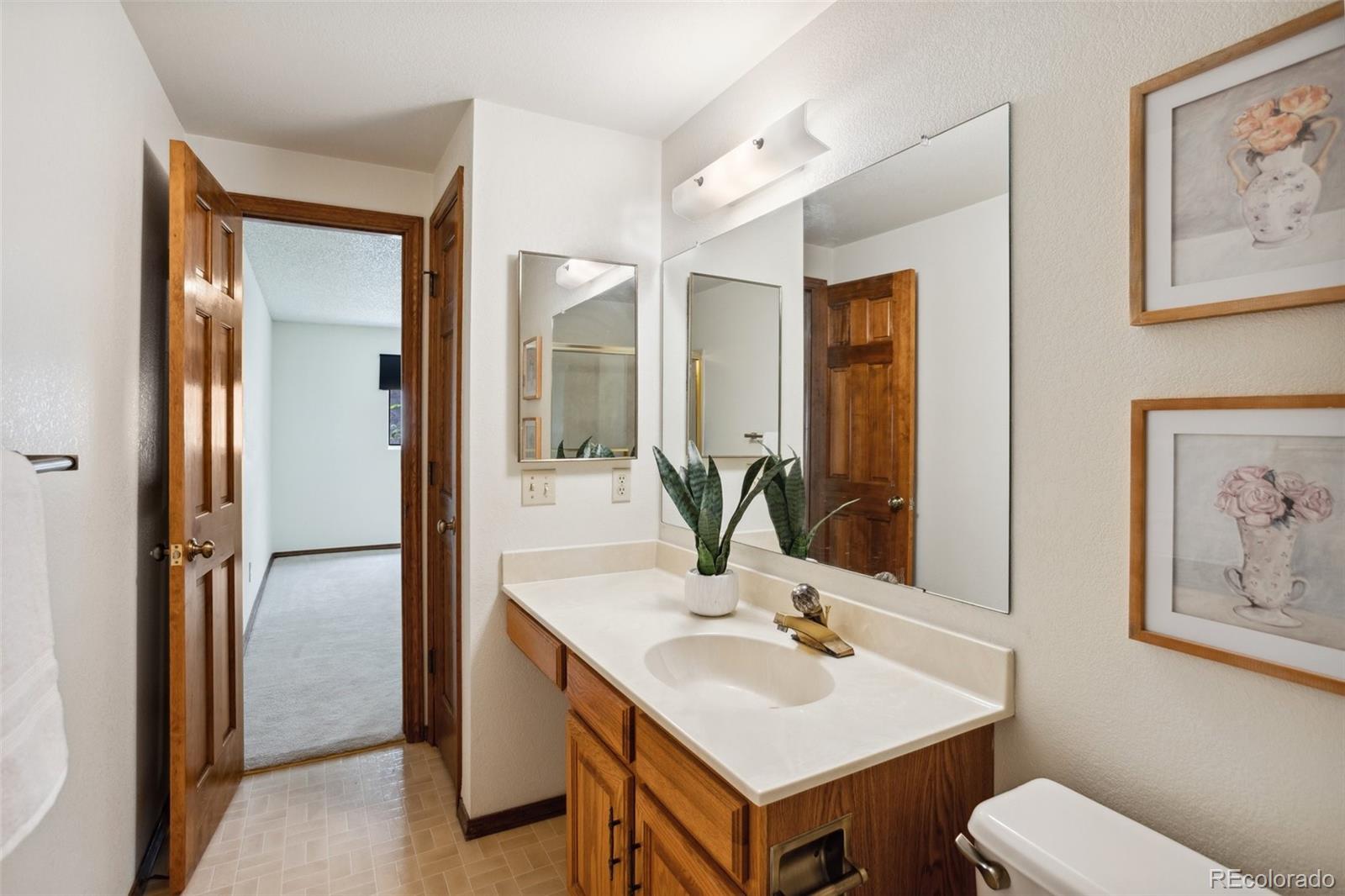 MLS Image #38 for 315  palm springs drive,colorado springs, Colorado