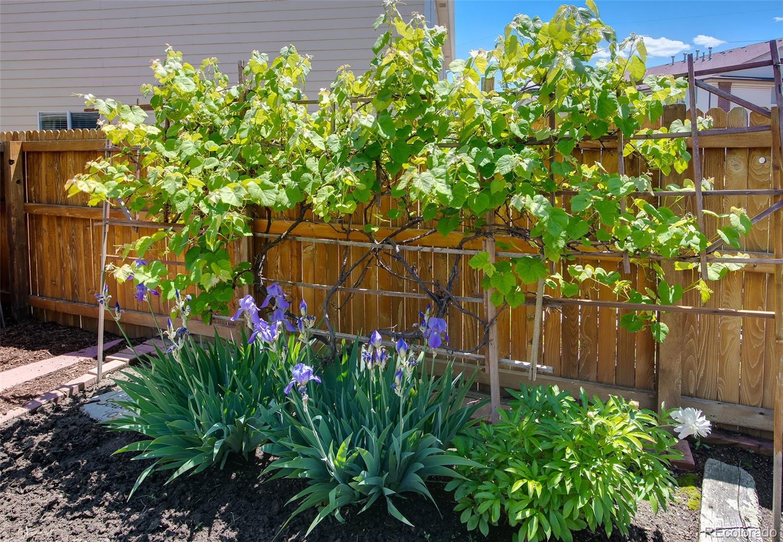 MLS Image #3 for 7871  ogden court,denver, Colorado