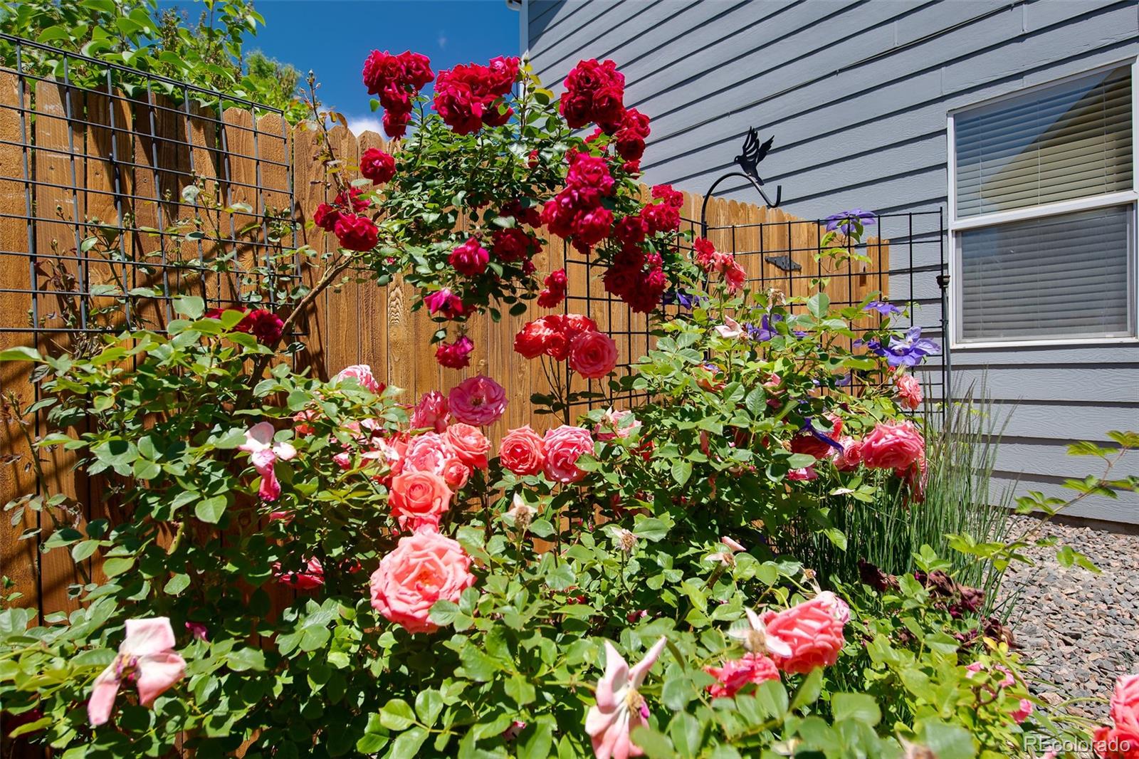 MLS Image #38 for 7871  ogden court,denver, Colorado