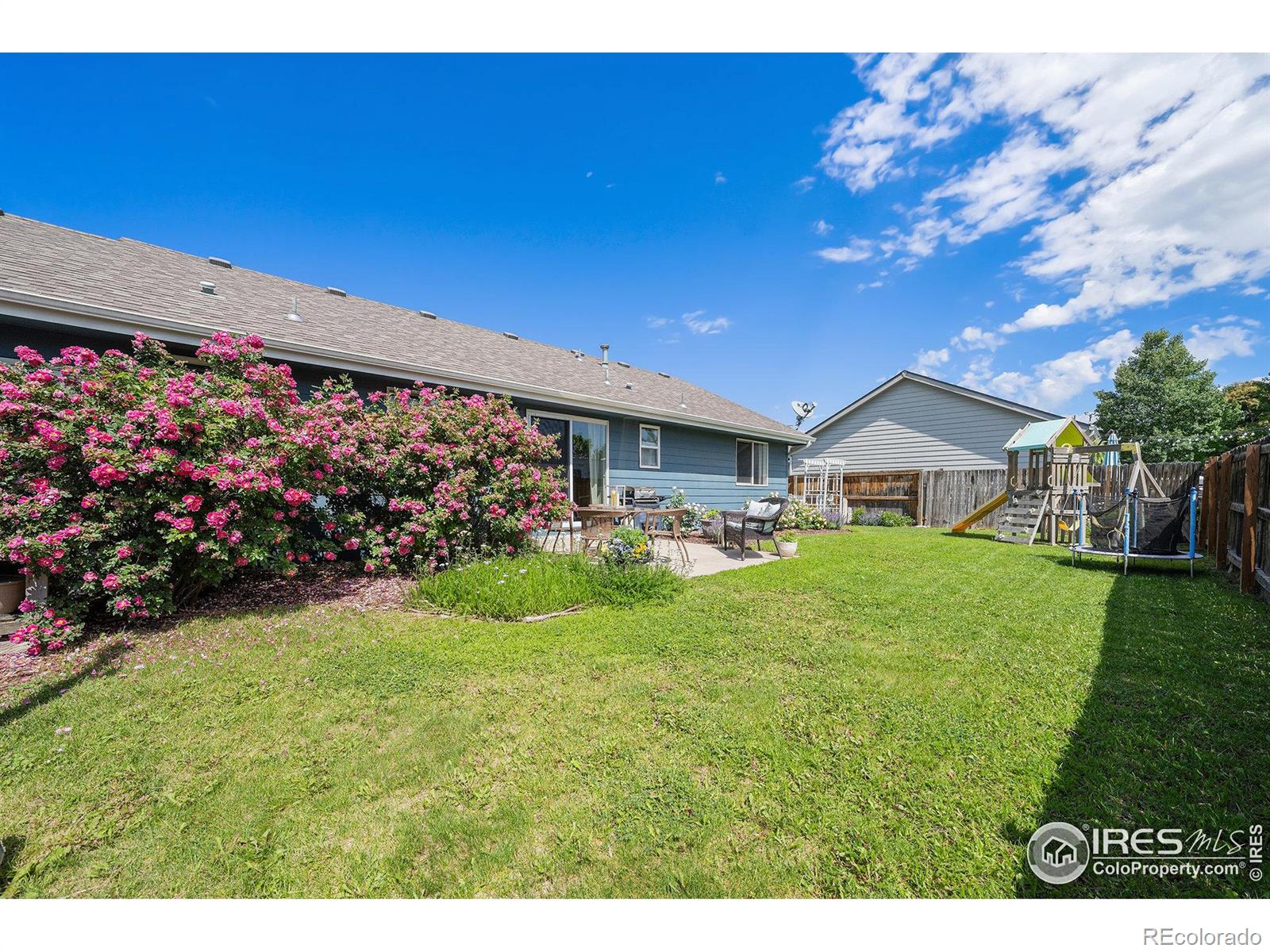 MLS Image #30 for 404  meadow drive,windsor, Colorado