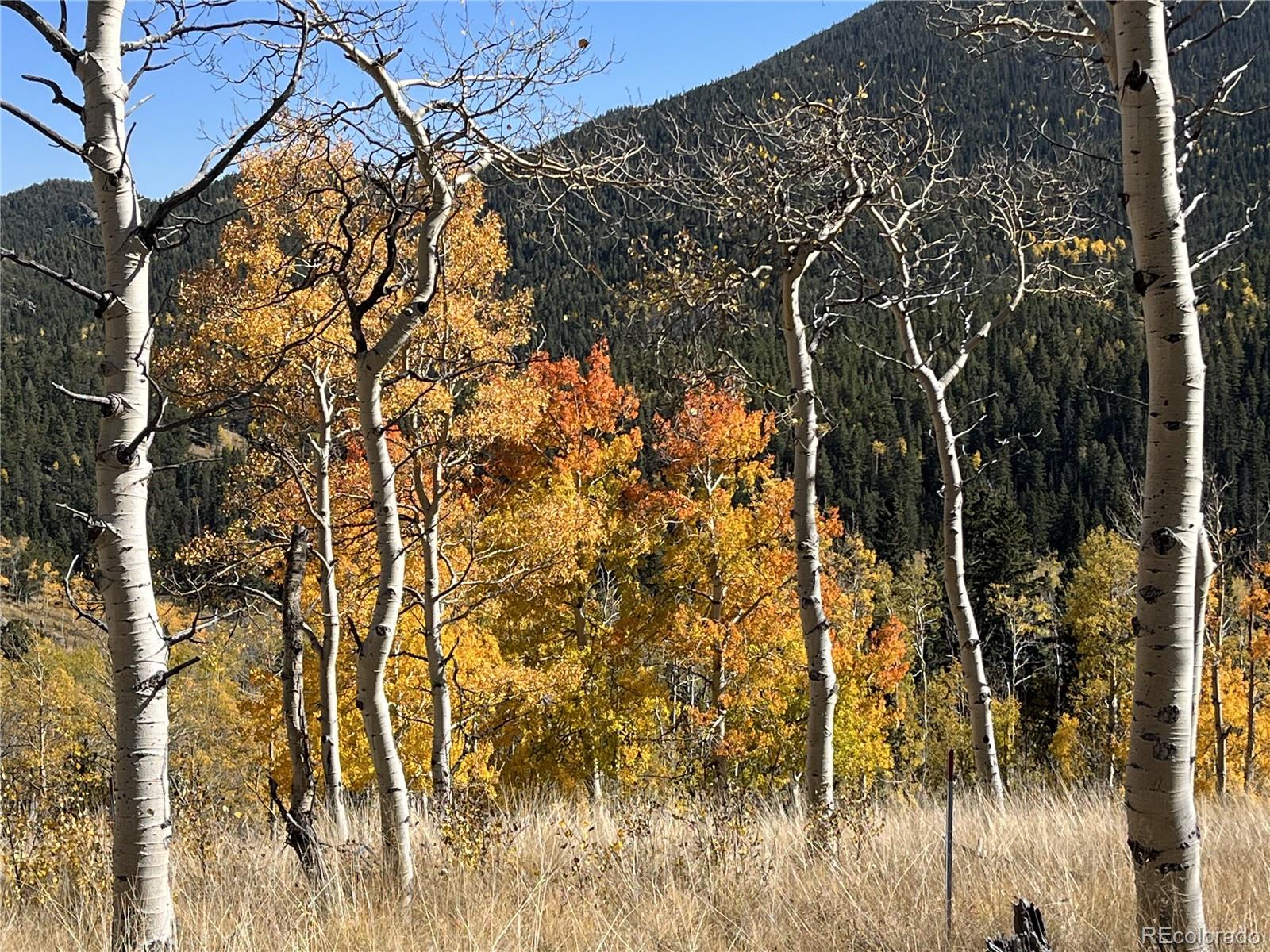 MLS Image #10 for 3425  co rd 360 ,westcliffe, Colorado