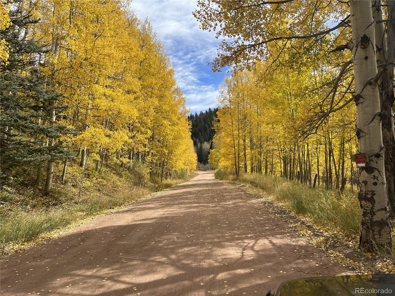 MLS Image #12 for 3425  co rd 360 ,westcliffe, Colorado