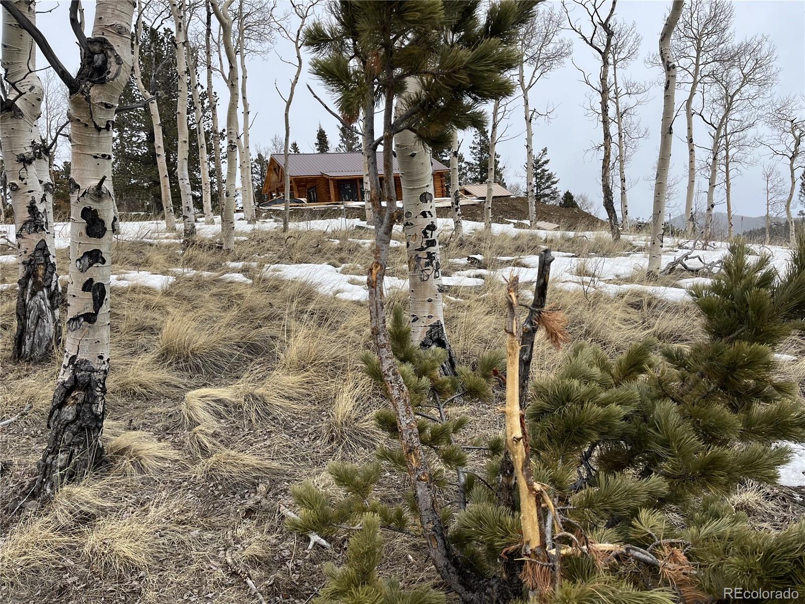 MLS Image #13 for 3425  co rd 360 ,westcliffe, Colorado