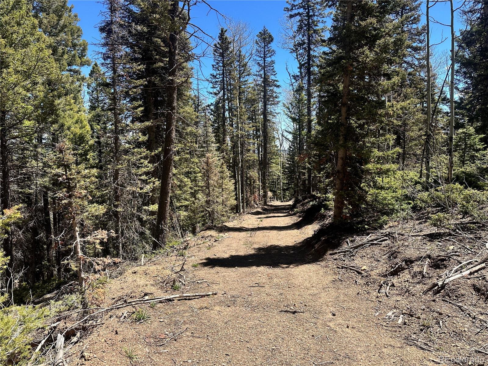 MLS Image #9 for 3425  co rd 360 ,westcliffe, Colorado