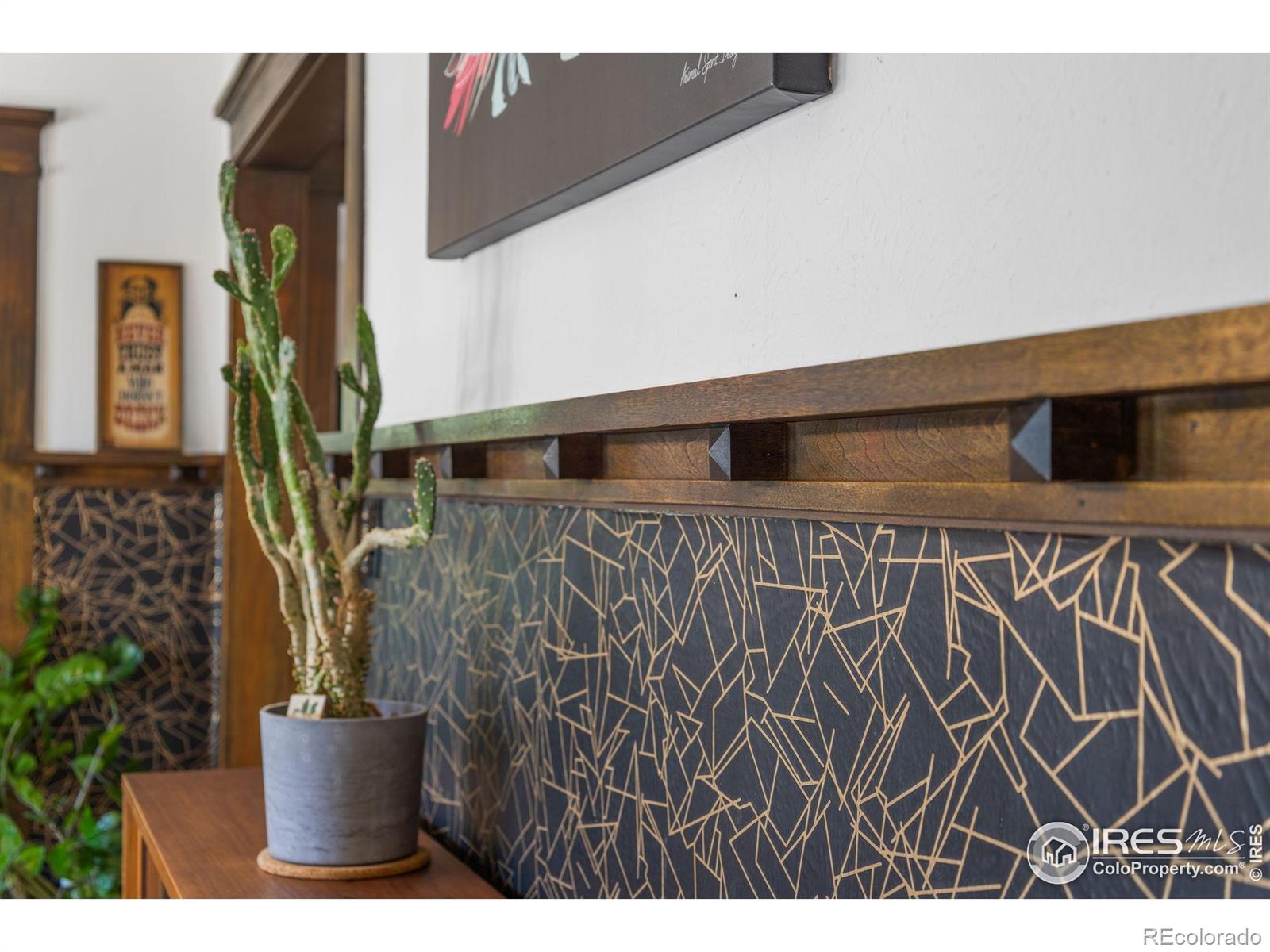 MLS Image #21 for 1217 n downing street,denver, Colorado
