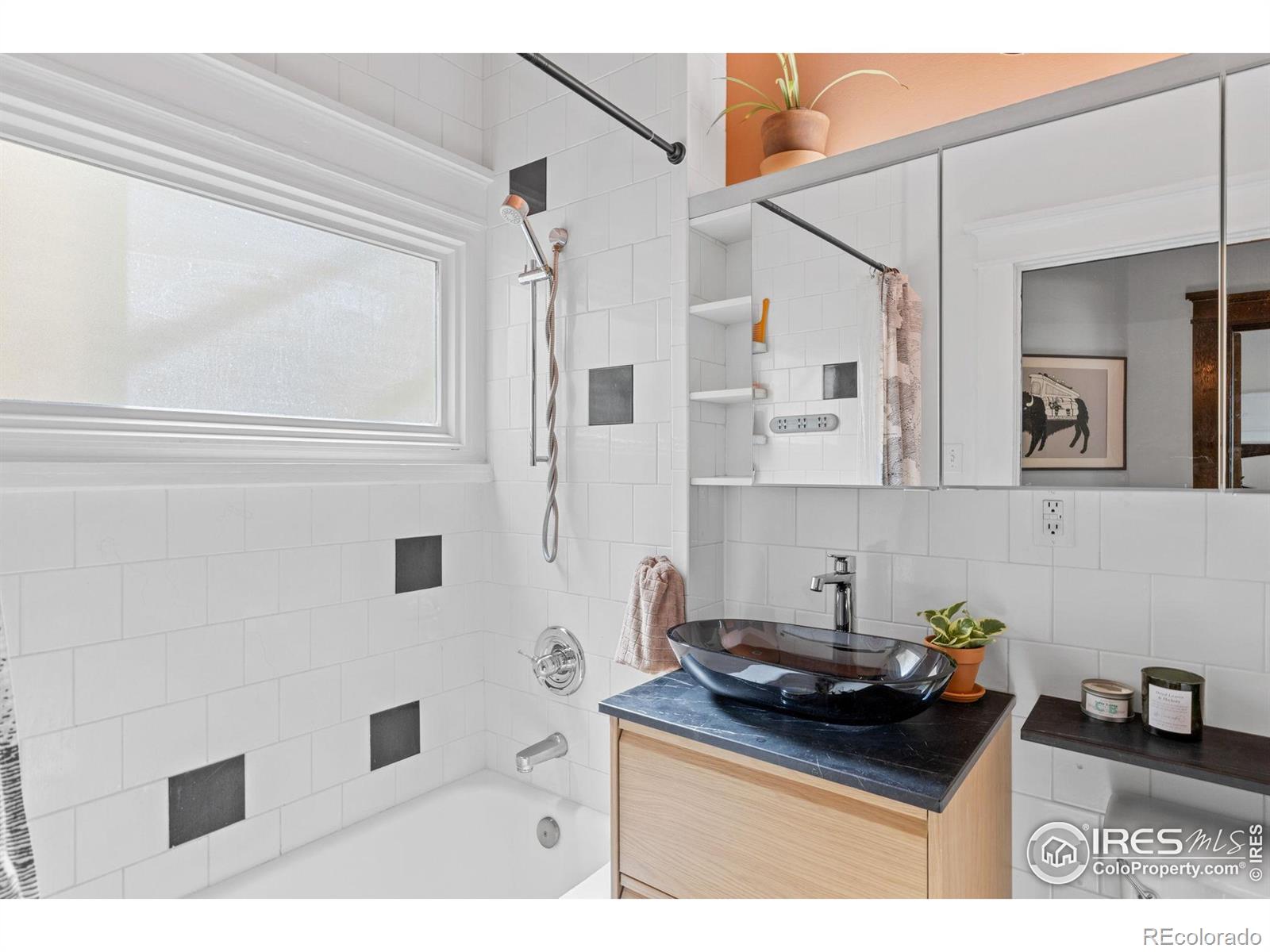 MLS Image #27 for 1217 n downing street,denver, Colorado
