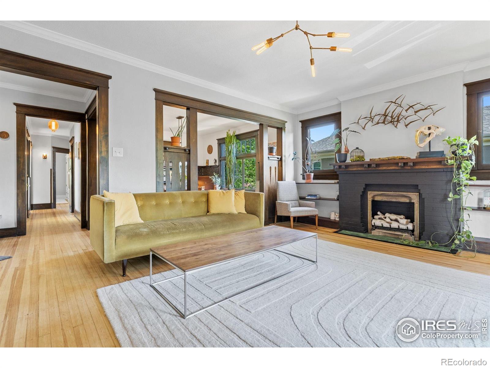 MLS Image #7 for 1217 n downing street,denver, Colorado