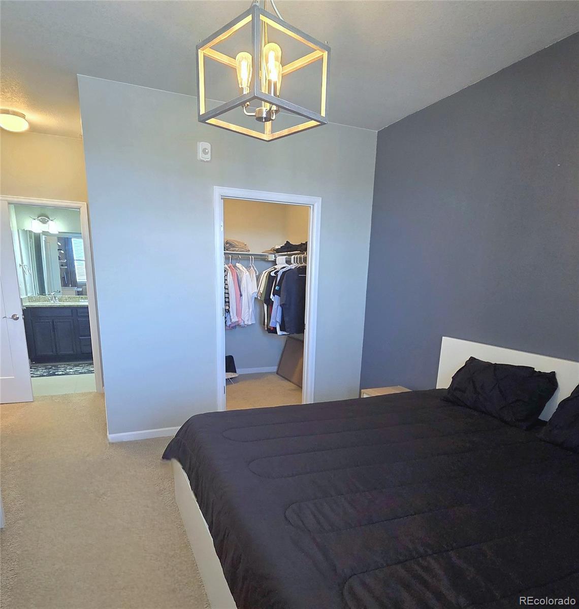 MLS Image #10 for 4680  copeland loop,highlands ranch, Colorado
