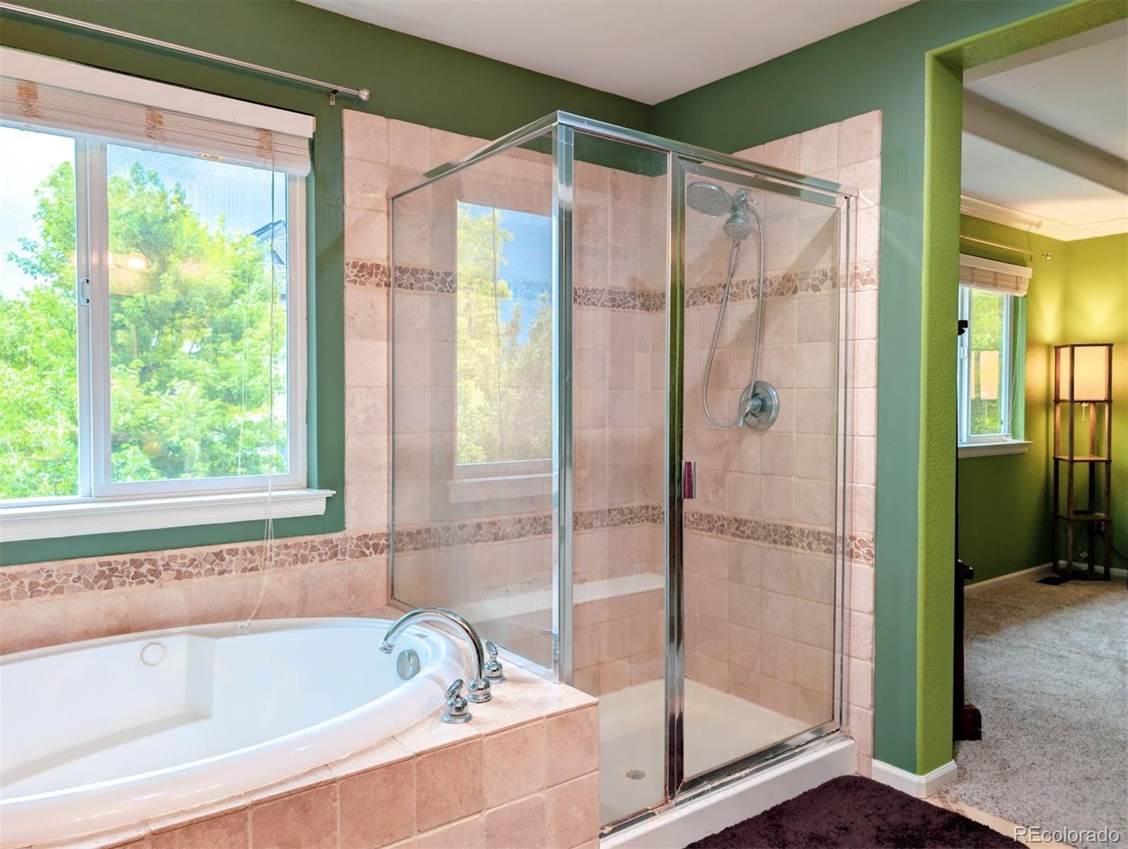 MLS Image #8 for 10247  telluride way,commerce city, Colorado