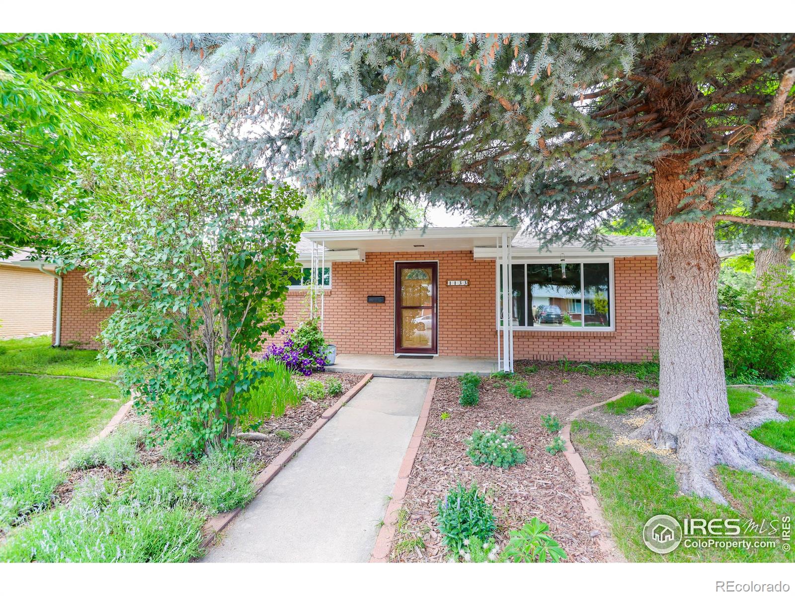 MLS Image #0 for 1133  frontier drive,longmont, Colorado