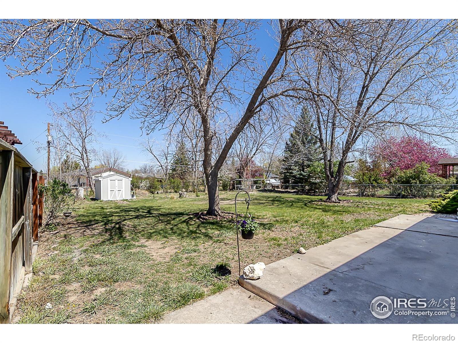 MLS Image #24 for 4117  silene place,loveland, Colorado
