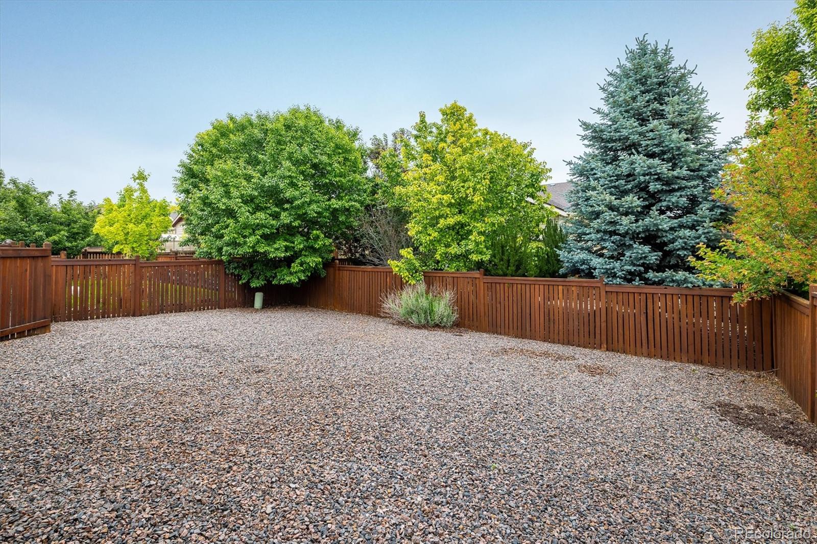 MLS Image #21 for 3389  hewitt street,loveland, Colorado