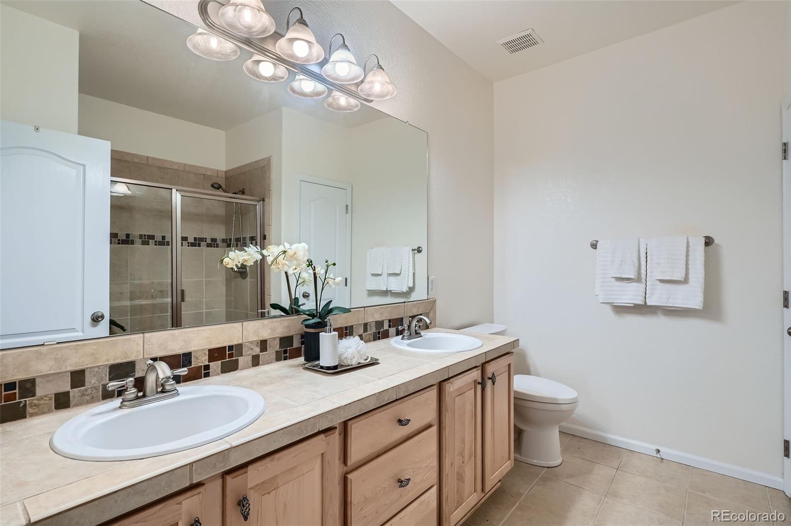 MLS Image #15 for 536  green ash street,highlands ranch, Colorado