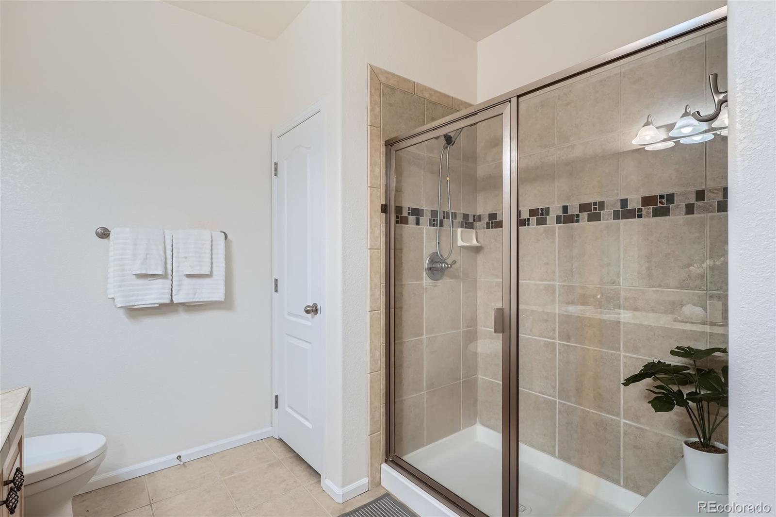 MLS Image #16 for 536  green ash street,highlands ranch, Colorado